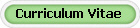 Curriculum Vitae
